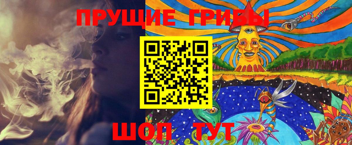 Маркс  Галлюциногенные грибы Psilocybine cubensis  Вход с VPN 